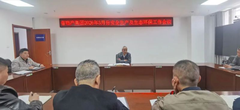 集團(tuán)召開3月份安全生產(chǎn)及生態(tài)環(huán)保工作會(huì)議