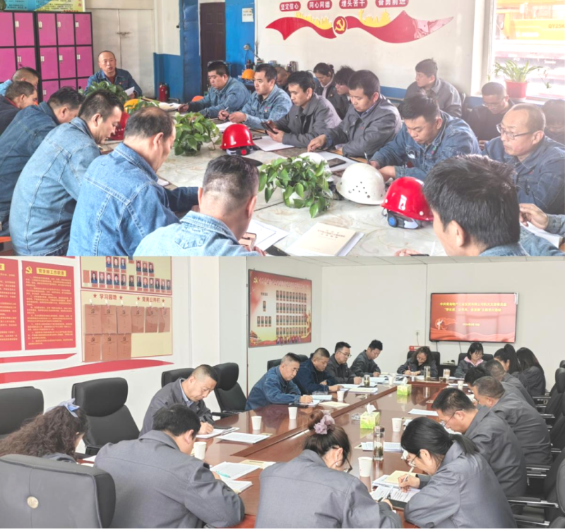 工投公司所屬各黨支部開(kāi)展主題黨日活動(dòng)