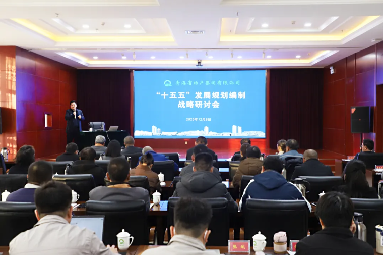 聚勢謀遠 破局立新——集團召開“十五五”發(fā)展規(guī)劃編制戰(zhàn)略研討會